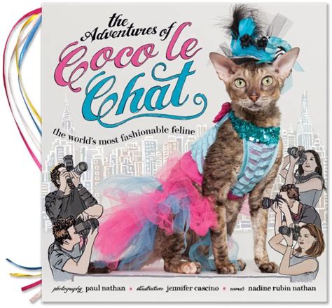 coco chat